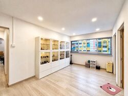 Blk 101 Teck Whye Lane (Choa Chu Kang), HDB Executive #634147041
